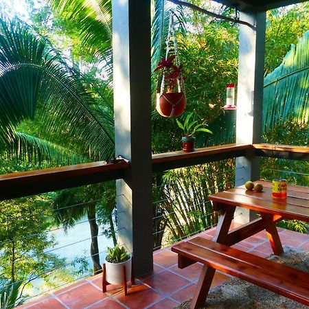 Riverhill Hideaway Monkey Fall Exterior photo