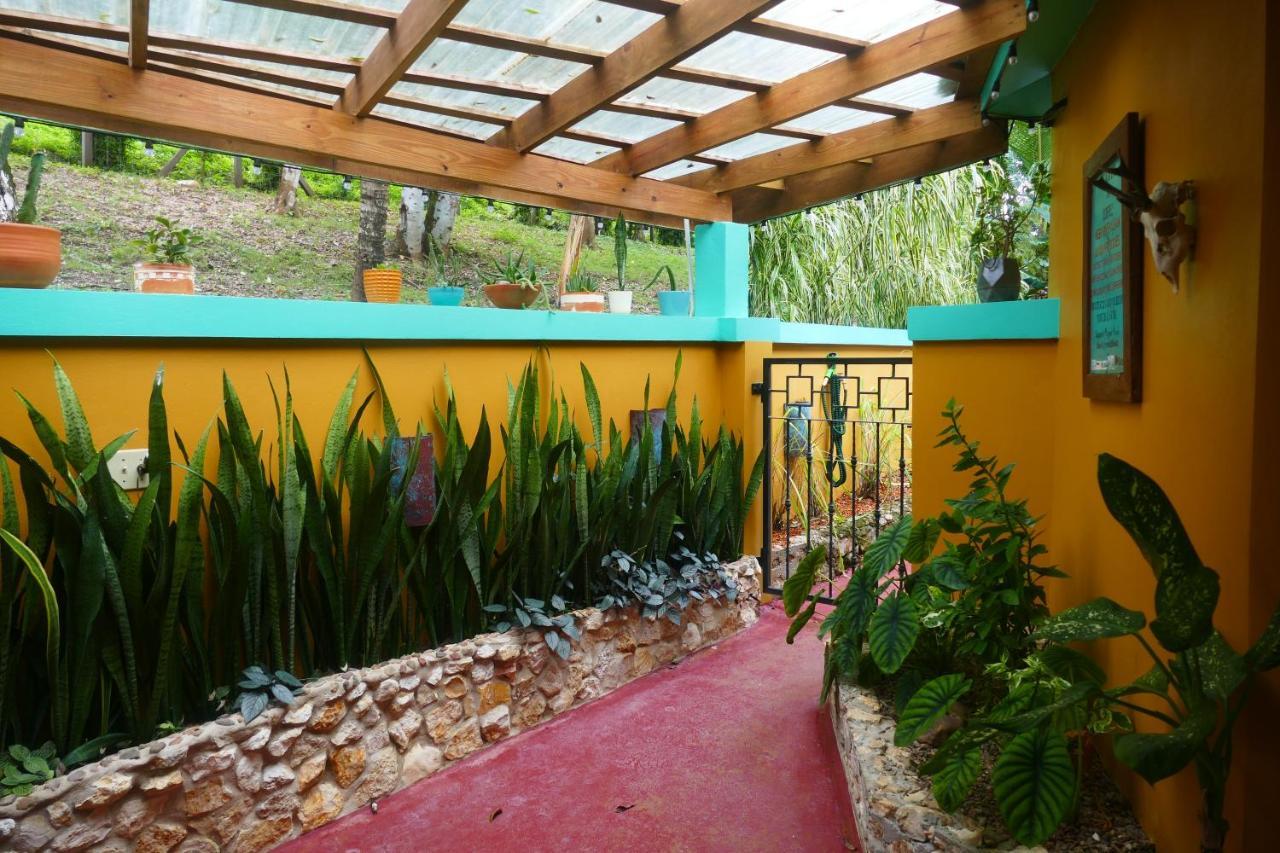 Riverhill Hideaway Monkey Fall Exterior photo
