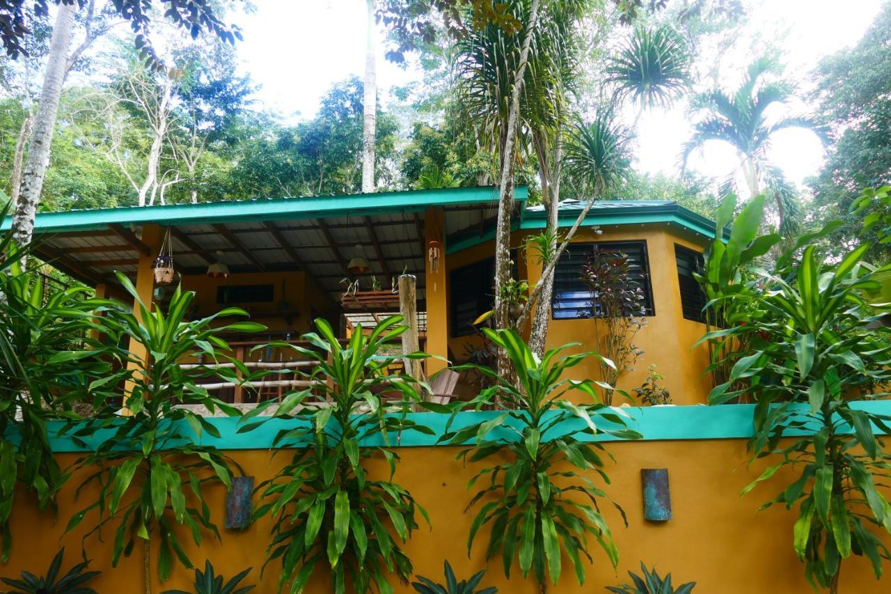 Riverhill Hideaway Monkey Fall Exterior photo