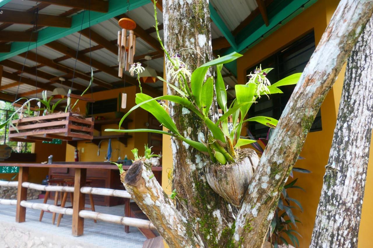 Riverhill Hideaway Monkey Fall Exterior photo