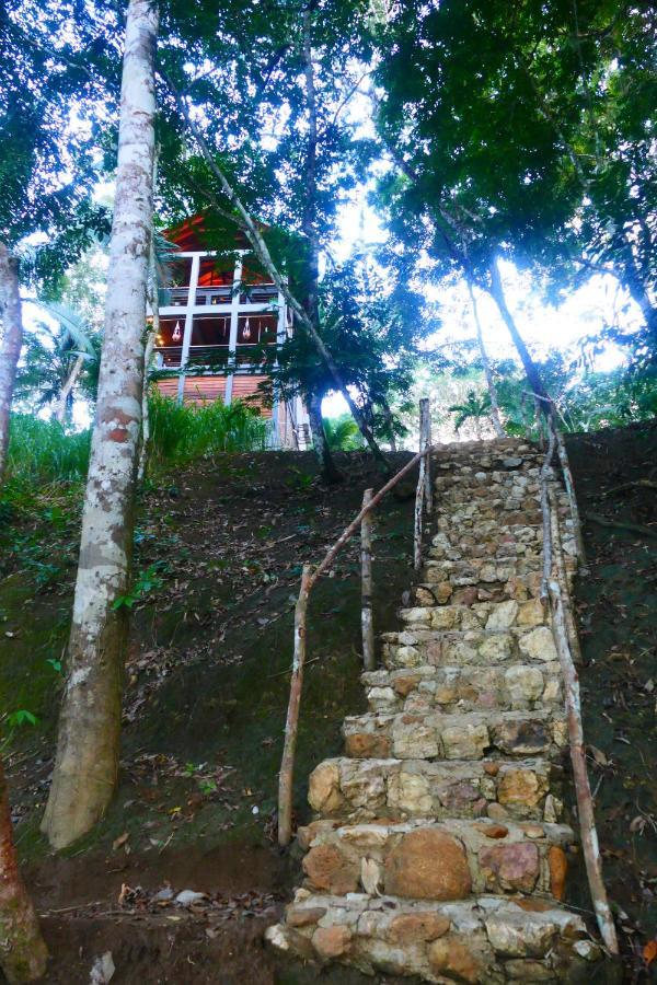 Riverhill Hideaway Monkey Fall Exterior photo