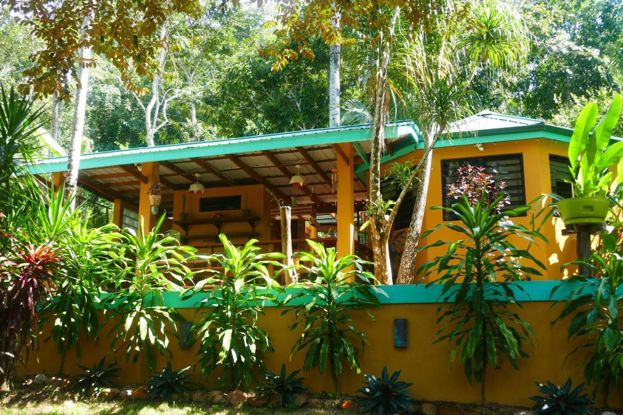 Riverhill Hideaway Monkey Fall Exterior photo