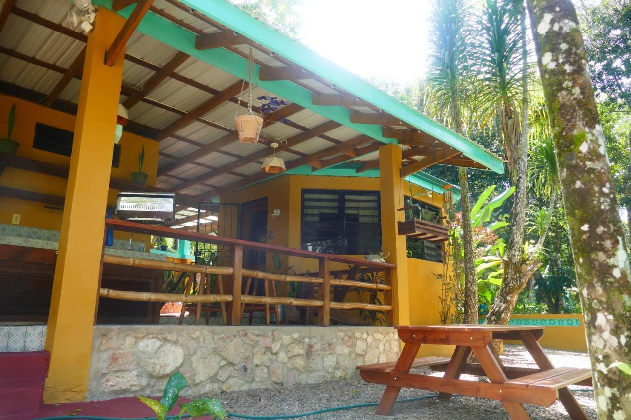 Riverhill Hideaway Monkey Fall Exterior photo