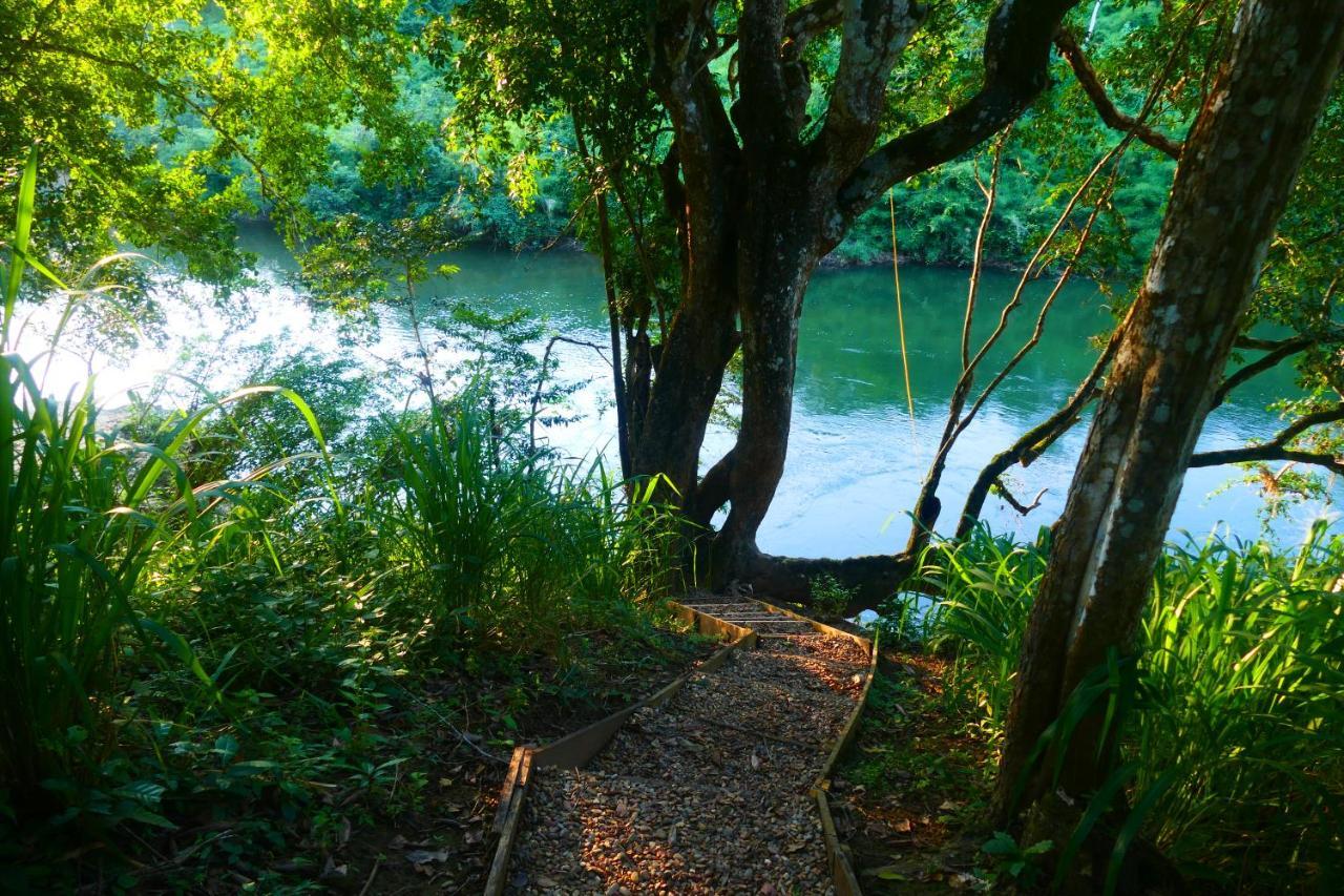 Riverhill Hideaway Monkey Fall Exterior photo