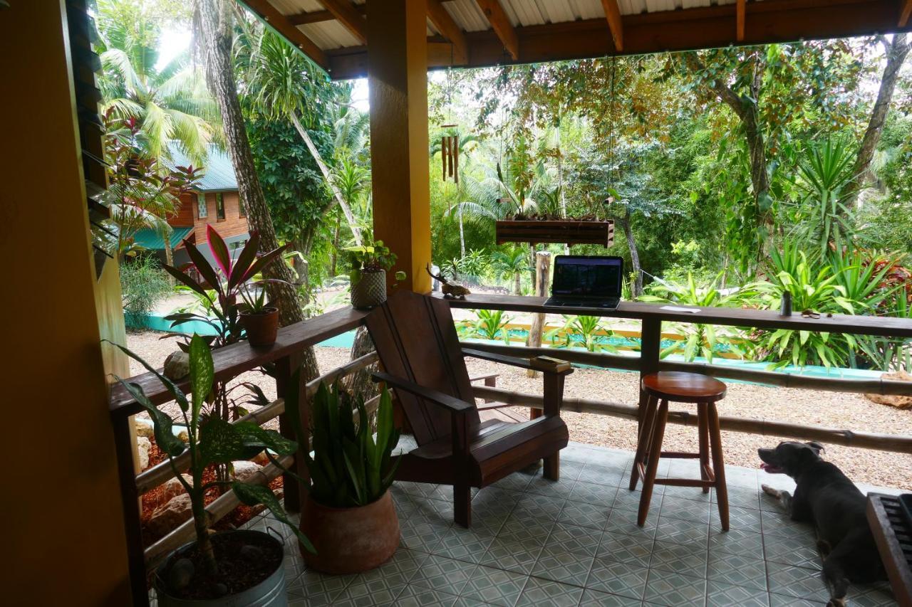 Riverhill Hideaway Monkey Fall Exterior photo