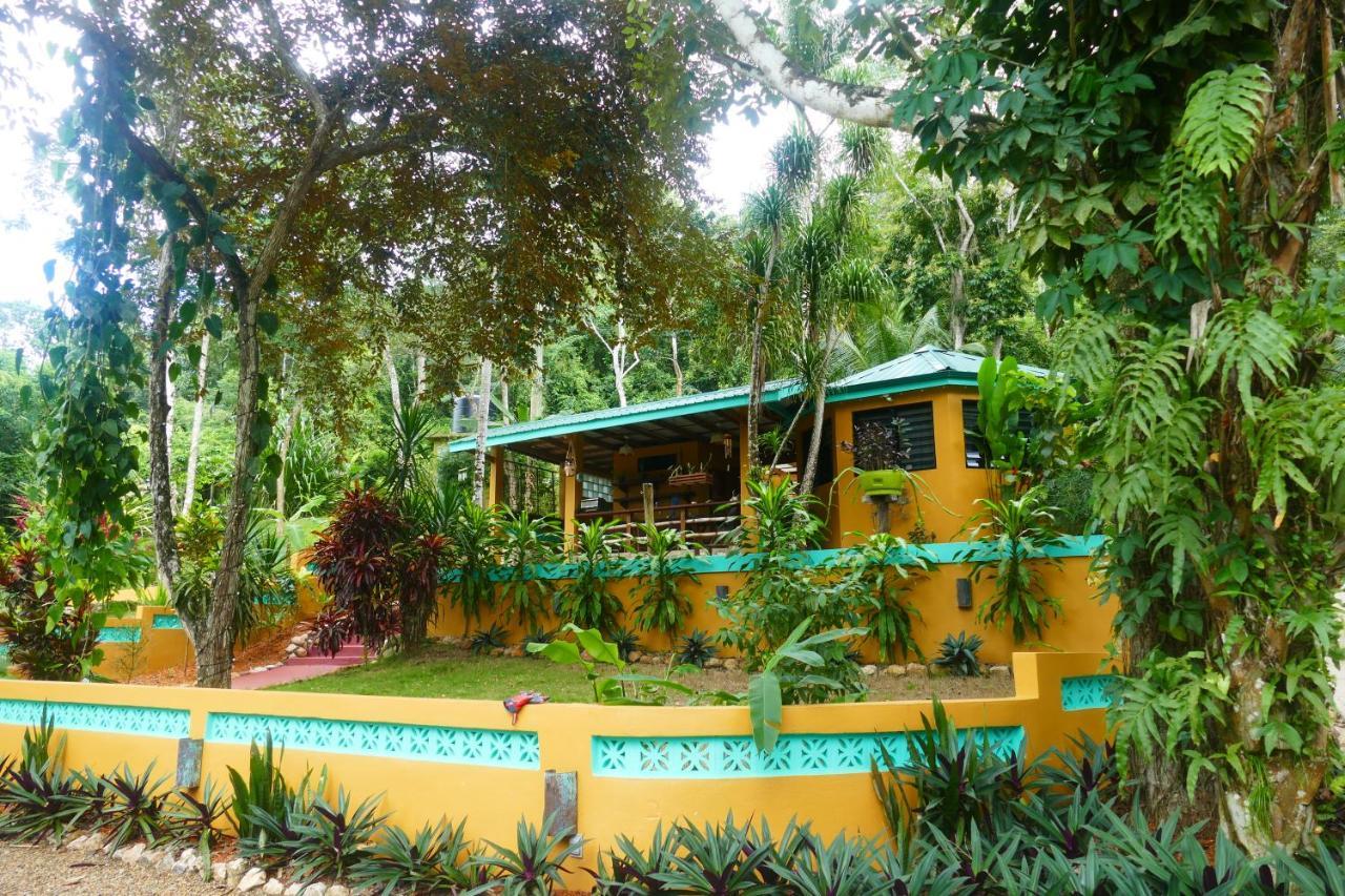 Riverhill Hideaway Monkey Fall Exterior photo